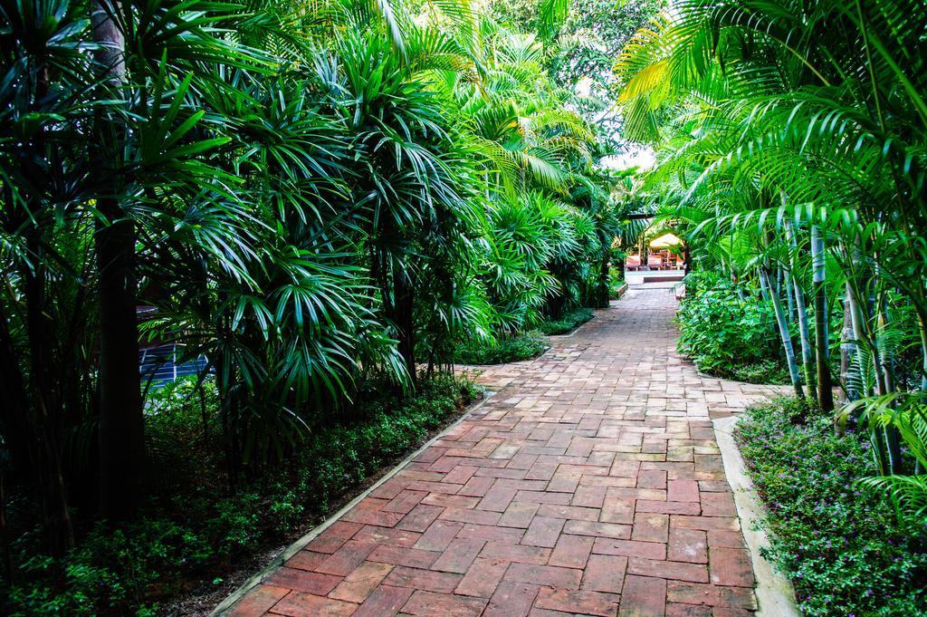 Baanpong Lodge San Kamphaeng Extérieur photo